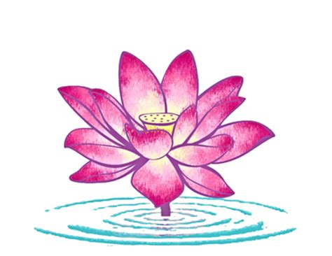 Pin by Ariana Erickson on Lotus tattoo design | Lotus tattoo design, Water lily tattoos, Flower ...
