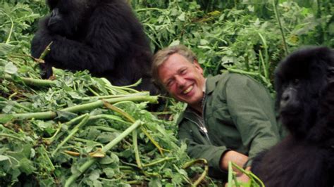 Watch David Attenborough: A Life on Our Planet | Netflix Official Site