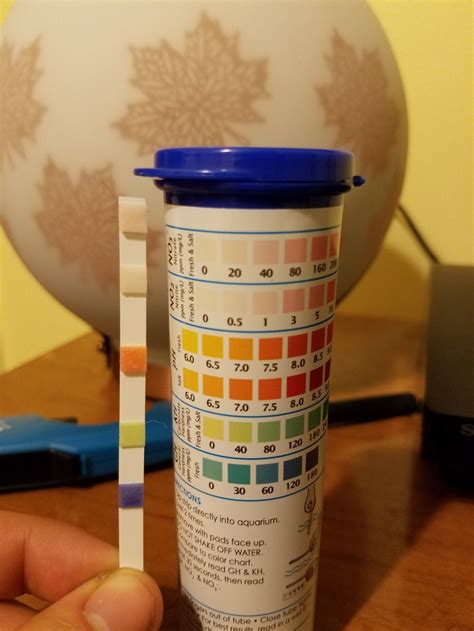 A Simple Guide To Testing Aquarium Water Parameters