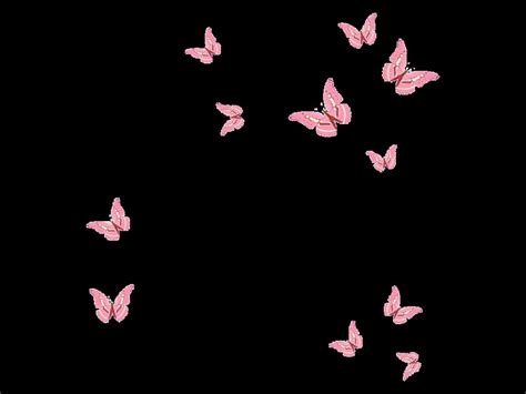 146 Wallpaper Hd Butterfly Pink Images - MyWeb