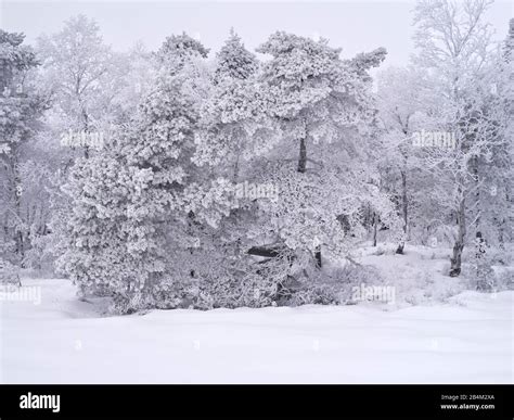 Bavarian rhoen nature park hi-res stock photography and images - Alamy