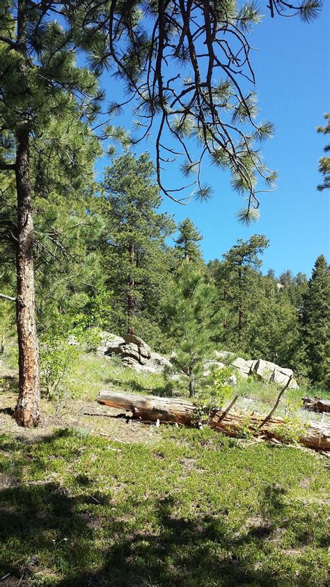 Burro Loop Trail - Colorado | AllTrails