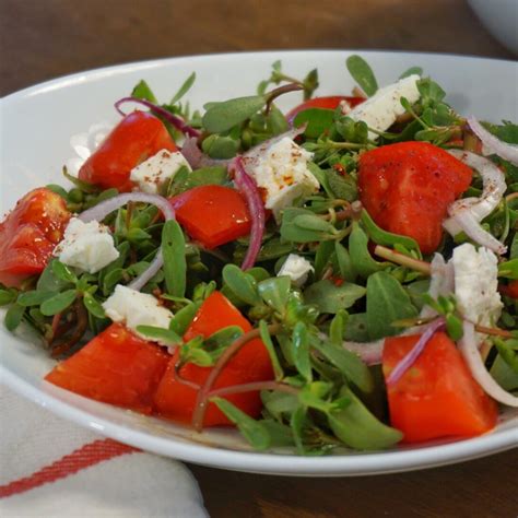 Purslane Salad - White Coat Pink Apron