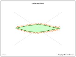 Fusobacterium Illustrations