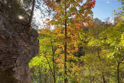 Ontario's Most Beautiful Fall Foliage: A Guide to Elora - Travel Music Food