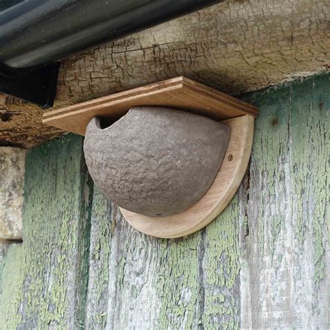 House Martin Nest Cup - Terracotta - RSPB Shop