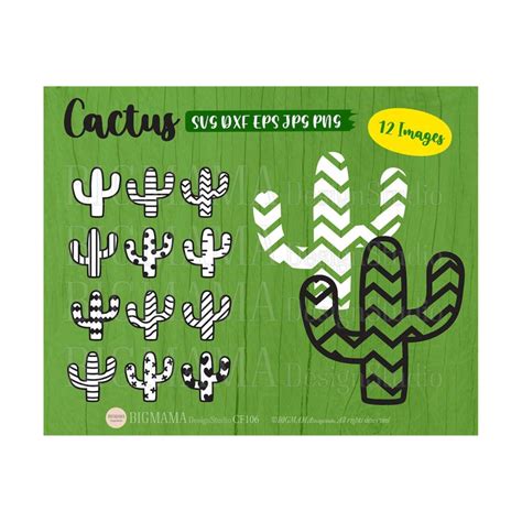 Cactus SVG,Cactus svg files,Cactus svg outline,Cactus svg Bu - Inspire Uplift