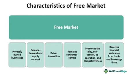 The Fundamentals of a Free Market Economy