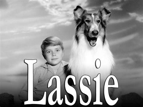 Lassie TV Show Wallpapers - Wallpaper Cave