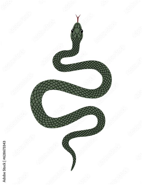 Vector hand-drawn illustration of green Snake top view. Isolated on ...