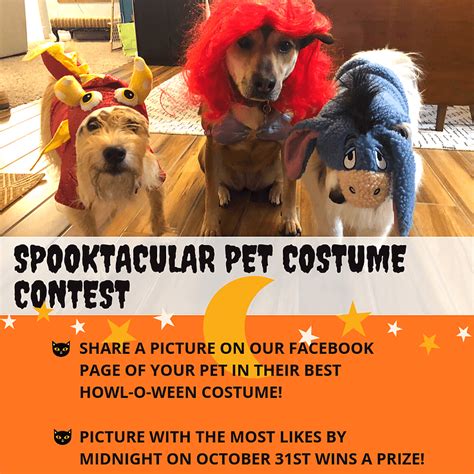 It’s Time for the Spooktacular Pet Costume Contest! - Marshall County ...