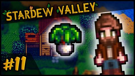 The Best leek stardew New Update – Dienbienfriendlytrip.com