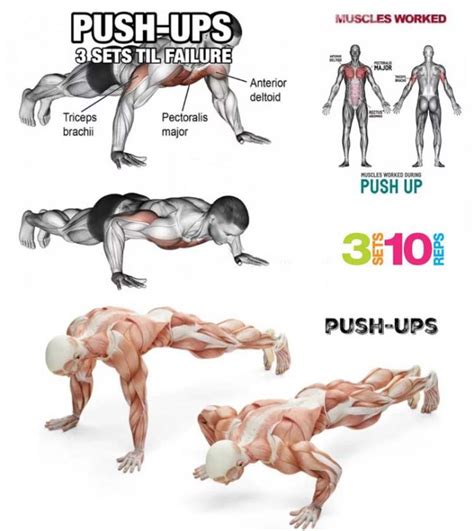 How to Do Perfect Pushup: Decline & Incline | Exercises Guide