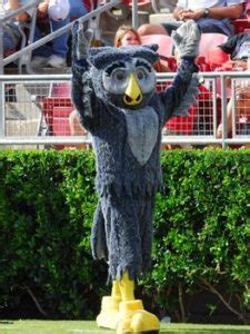 Sammy, the Rice Owl Mascot – Kathy M. Slaughter