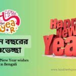 Best Happy New Year Wishes In Hindi | नव वर्ष की हार्दिक शुभकामनाएं संदेश 2024