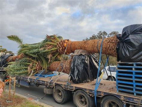 Olive Landscaping and Fencing Bundaberg - Spring Lakes Resort Landscaping