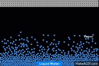 A Molecular Simulation of Evaporation and Condensation on Make a GIF