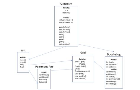 GitHub - dbasibuyuk/Predator-Prey-Simulation