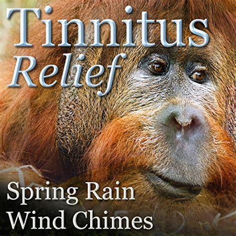 Jerry Lambert, Jerry Lambert - Tinnitus Relief: Spring Rain and Wind Chimes CD: Tinnitus ...