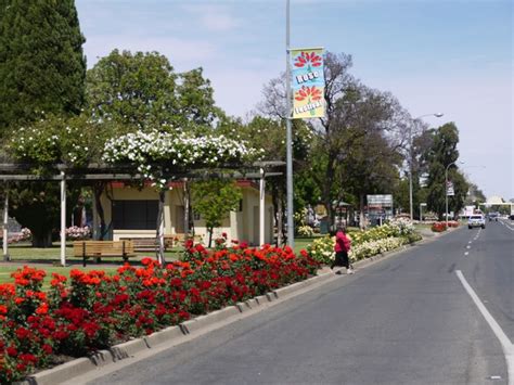 Renmark Rose Festival 2014 - Adelaide - by Steve Hudson