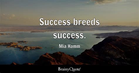 Mia Hamm - Success breeds success.