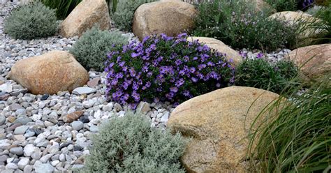 Types of landscaping rocks and how to use them – Artofit