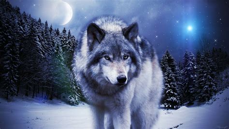 Wolf in the winter by Sky-X-Wolf on deviantART | Animal canvas, Moon wall art, Wolf canvas