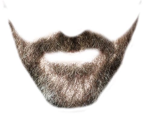 Beard clipart short beard, Beard short beard Transparent FREE for download on WebStockReview 2024