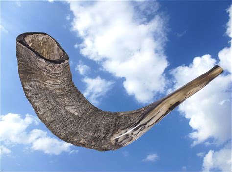 Shofar Archives | Hoshana Rabbah BlogHoshana Rabbah Blog