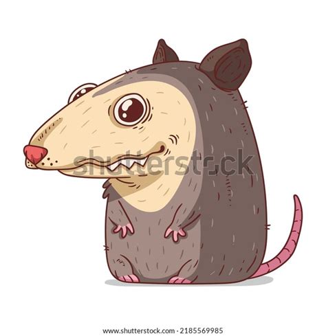 Possum Isolated Vector Illustration Funny Cartoon Stock Vector (Royalty Free) 2185569985 ...