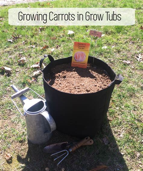 Container Gardening: Planting Carrots in a Grow Tub (Container Garden ...