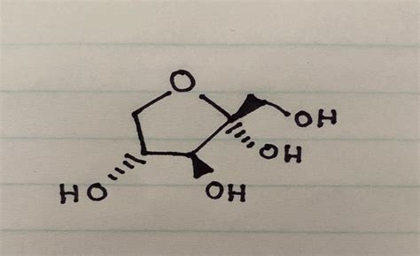 Solved 1. What is the best way to describe the following | Chegg.com