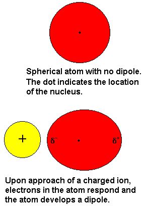 Induced Dipole Forces