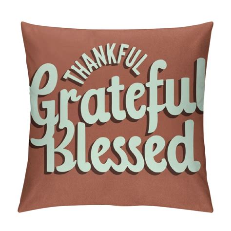 COMIO Farmhouse Pillow Covers with Thankful Grateful Blessed Quote 12 ...