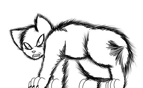 Angry cat lineart by RubyandEmber on DeviantArt