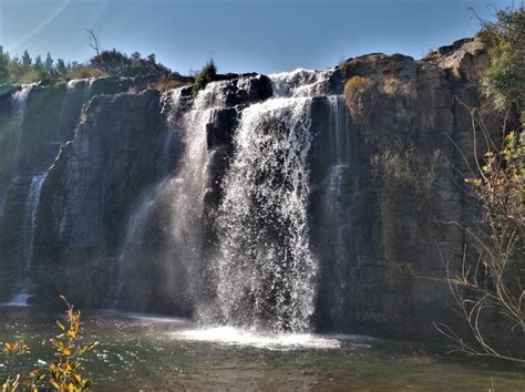 Forest Falls Trail Hiking Guide - The Scribs and Nibs