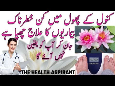 Kanwal ka phool khany k faiday| kanwal medical benefits in urdu - YouTube