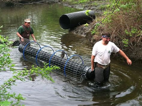 http://www.gardenstatewildlifecontrol.com/images/Sussex_County_Beaver ...