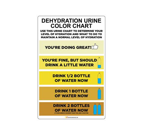premium vector urine color chart pee hydration and dehydration test - hydration chart learn to ...