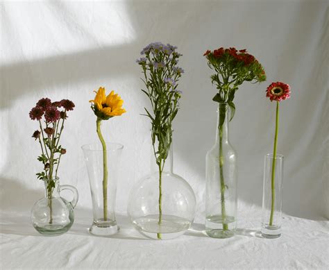 Elegant various shaped glass vases with tender assorted flowers in daylight · Free Stock Photo