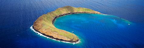 Molokini Crater Snorkeling | Credit Carrots