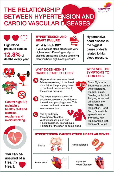 The Relationship between Hypertension and Cardio Vascular Diseases – Infographic | Kauvery Hospital