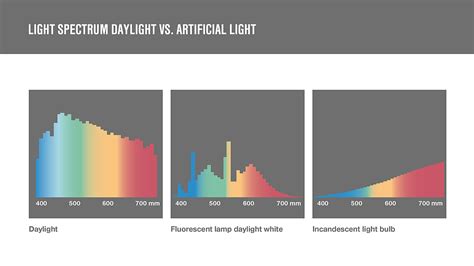 Artificial light vs. daylight - the differences | insights by LAMILUX