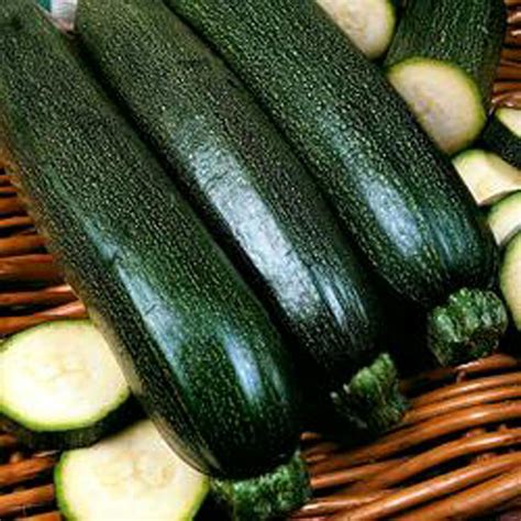 Zucchini Seeds - How to grow Zucchini ? – Country Creek LLC