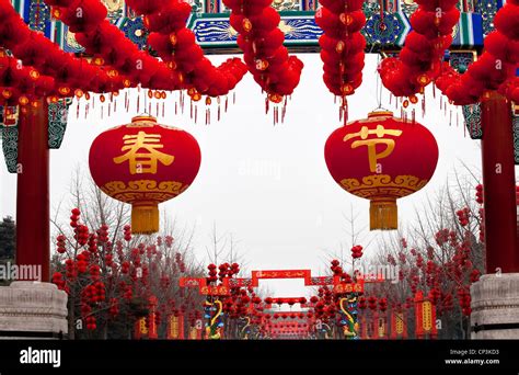 Chinese Spring Festival Decorations