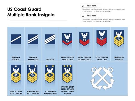 US Coast Guard Multiple Rank Insignia | Presentation Graphics ...