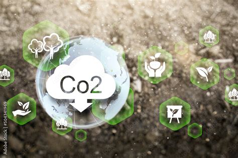 Net Zero and Carbon Neutral Concepts Net Zero Emissions Goals Weather ...