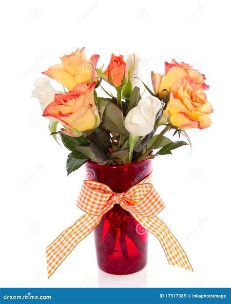 Orange and white roses stock image. Image of colorful - 17517389