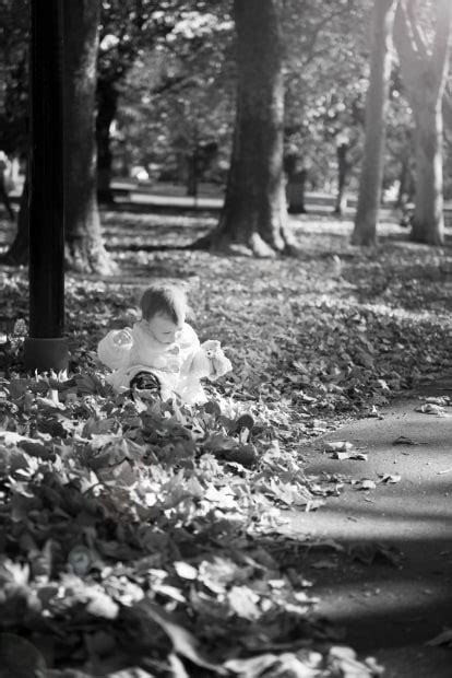 Immersed In Nature - Australian Photography