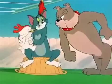 Tom jerry cartoon in urdu - kumgrid